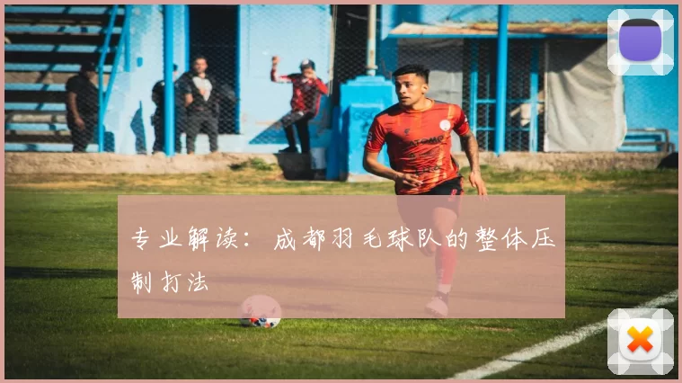 专业解读：成都羽毛球队的整体压制打法