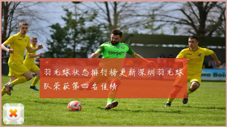 羽毛球状态排行榜更新深圳羽毛球队荣获第四名佳绩