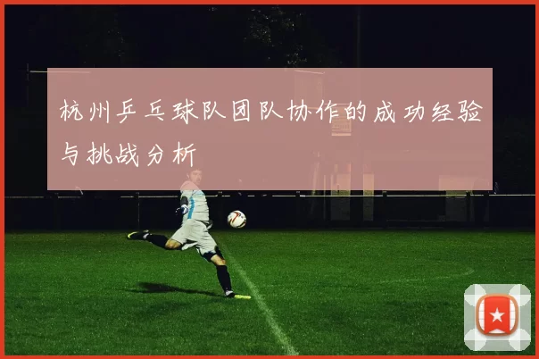 杭州乒乓球队团队协作的成功经验与挑战分析