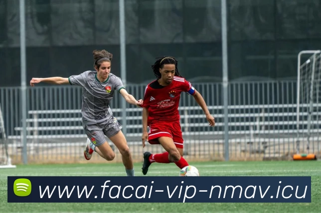 星空体育发展历程